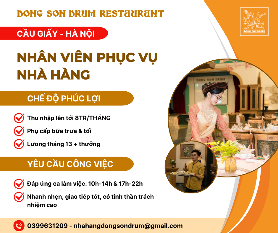 lĩnh vực hoạt động